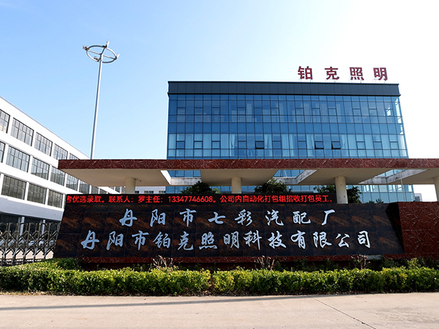 Company Panoramic Display